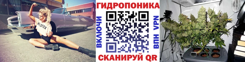 наркота  Пугачёв  Каннабис OG Kush 